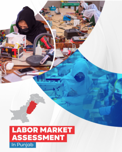 Labor Market Assessment in Punjab -2024