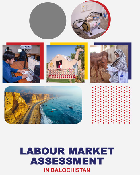 LABOUR MARKET ASSESSMENT IN BALOCHISTAN